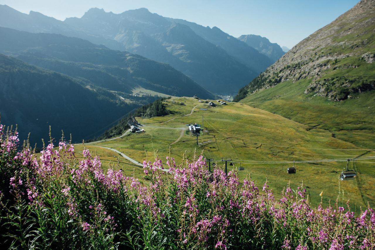 Albergo Ristoro Sitten Gressoney-la-Trinité Exterior foto